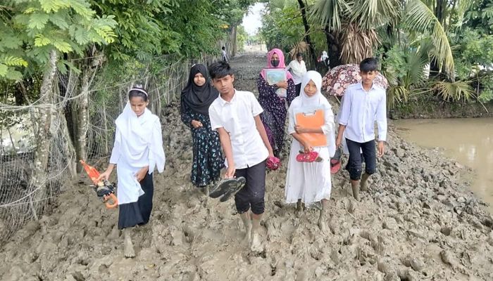 প্রাথমিকের শিক্ষা কার্যক্রমে হযবরল 