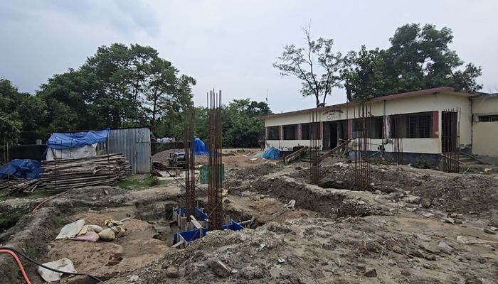 বিদ্যালয়ের মূল্যবান গাছ কম টাকায় বিক্রির অভিযোগ, এলাকায় ক্ষোভ