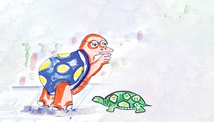 কচ্ছপের পা 
