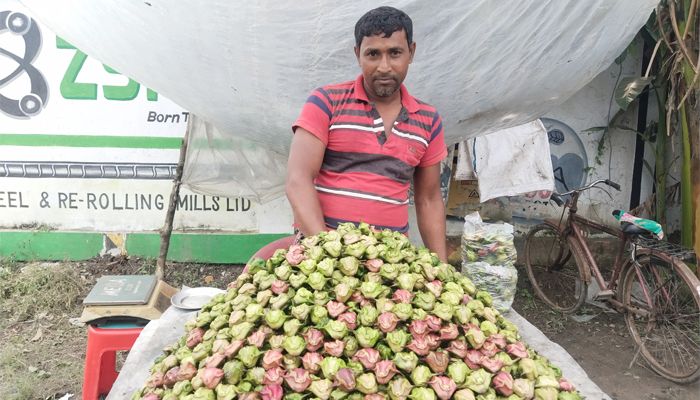 কদর বাড়ছে পানিফলের