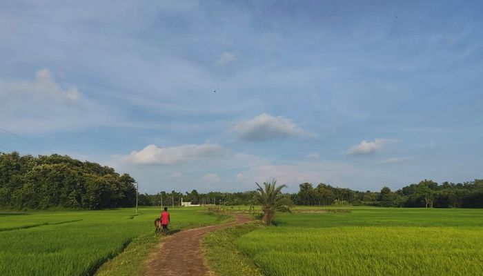 হাজারও মানুষের জীবন বদলে দিয়েছে এ সড়ক!