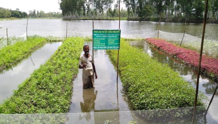 দেশীয় উদ্ভাবনে ছিন্ন করি জলবায়ু সংকট