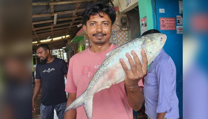 এক ইলিশ বিক্রি ৬ হাজার টাকায়