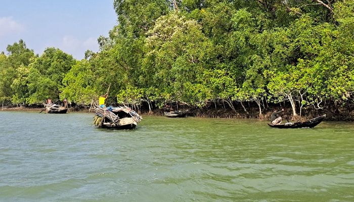দস্যুদের হাতে জিম্মি ৫ জেলে, মুক্তিপণ দিয়ে ফিরলেন ৩