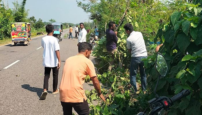 তরুণের উদ্যোগে ৩৭ কিমি সড়কের ঝোপঝাড় পরিষ্কারে অভিযান শুরু