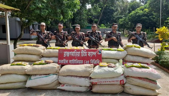 অর্ধকোটি টাকার ভারতীয় চোরাচালানি মালামাল জব্দ