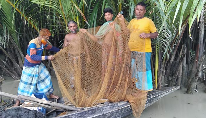 সুন্দরবনের খালে অবৈধভাবে মাছ আহরণ, আটক ৪