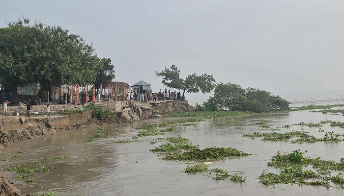 বগুড়ার ধুনটে যমুনার তীব্র ভাঙন, আতঙ্কে তীরবর্তী মানুষ