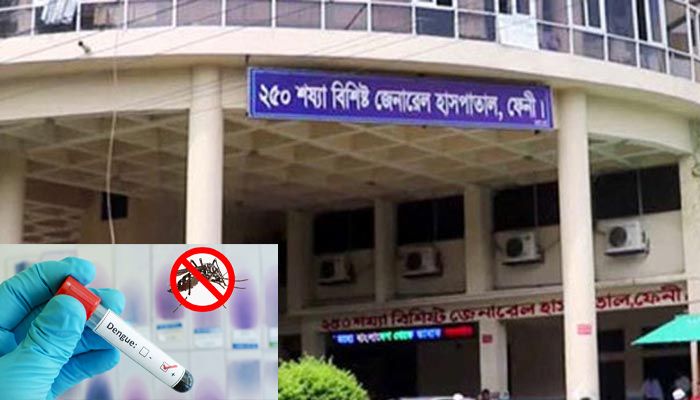 ফেনীতে আরও ১১ জনের ডেঙ্গু শনাক্ত