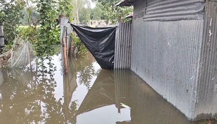 পানি বন্দি ২০ হাজার পরিবার, তলিয়ে গেছে ফসল ও বাড়িঘর