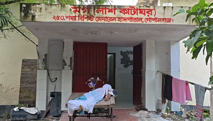 সড়ক দুর্ঘটনায় ২ জন নিহত, আহত ১