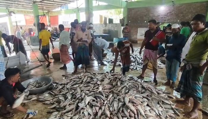 ইলিশে সরগরম মহিপুর মৎস্য বন্দর