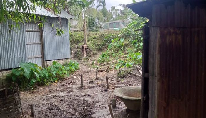 এক রাতে কৃষকের ছয়টি গরু চুরি 