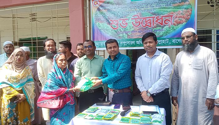 শীতকালীন সবজি বীজ ও সার বিতরণ