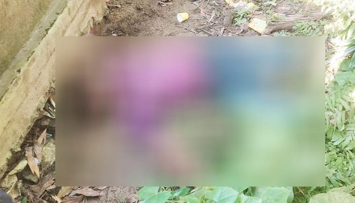 সুপারি গাছ থেকে পড়ে একজনের মৃত্যু