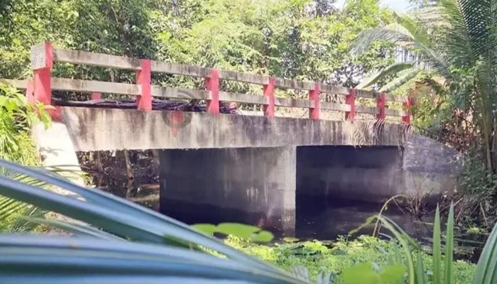 সাবেক সচিবের গাড়িচালকের পুকুরে যেতে সরকারি টাকায় সেতু