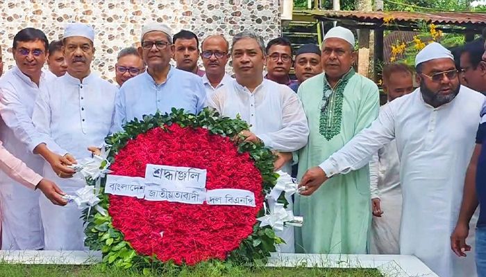 দেশটা এখন মুক্ত, আমরা স্বাধীন দেশে আছি : মির্জা ফখরুল