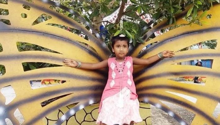 দাদার মরদেহ দেখে ফেরার পথে সড়কে প্রাণ গেল নাতনির