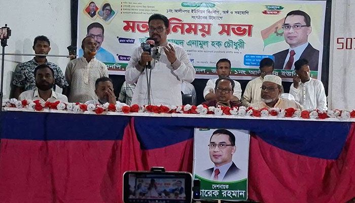 তারেক রহমান শিগগিরই দেশে ফিরে বিএনপির নেতৃত্ব দেবেন: ড. এনামুল হক