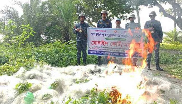 মা ইলিশ রক্ষায় জব্দ ৫০ হাজার মিটার কারেন্ট জাল