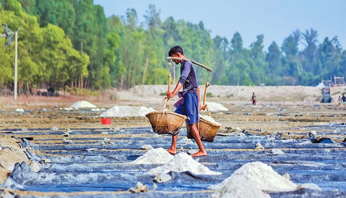 সম্ভাবনা, সংকট আর লবণ চাষিদের জীবনযুদ্ধ