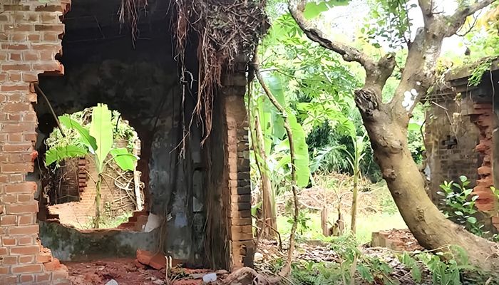 প্রবা ফটো