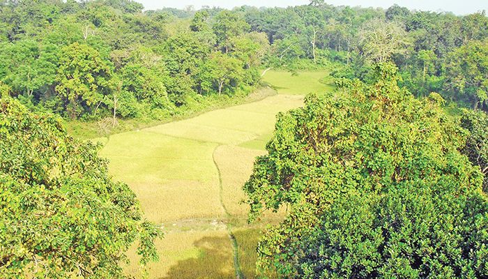 রেমা-কালেঙ্গা বন্য প্রাণী অভয়ারণ্য - ধ্বংসের মুখে অস্তিত্ব