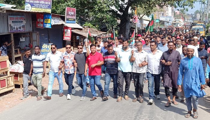 যুবদলের প্রতিষ্ঠাবার্ষিকীতে মির্জাগঞ্জে আনন্দ র‍্যালি ও পথসভা