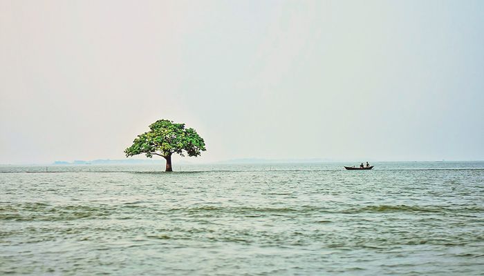হাওরের রূপে রঙে উৎসব