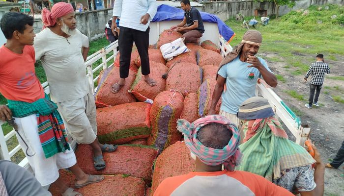 হিলি বন্দরে ৫ হাজার মেট্রিকটন ভারতীয় কাঁচামরিচ আমদানি, রাজস্ব আদায় ১৯ কোটি
