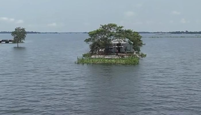জলে ভাসা এক জীবনের গল্প