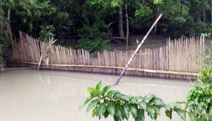 ভাণ্ডারিয়ায় খালে বেড়া দিয়ে মাছ শিকার, বন্ধ নৌ চলাচল