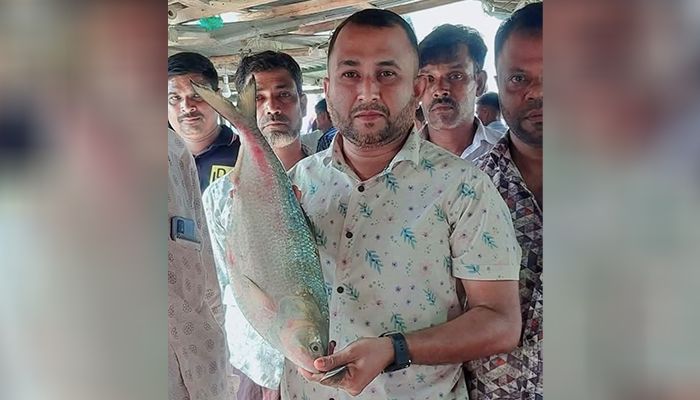 কমলনগরে এক ইলিশের দাম ৯২০০ টাকা
