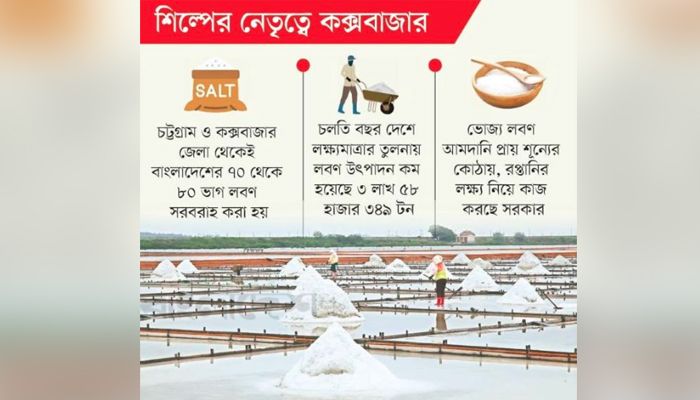 নতুন লবণ মাঠের সন্ধানে বিসিক, সন্দ্বীপ ঘিরে আশা
