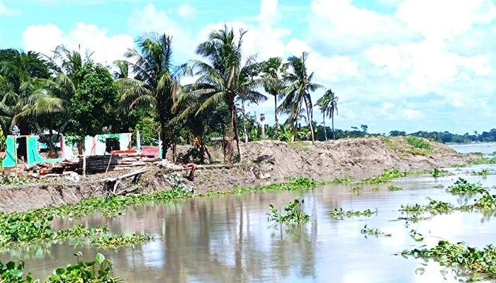 ছোট হচ্ছে মির্জাগঞ্জের মানচিত্র