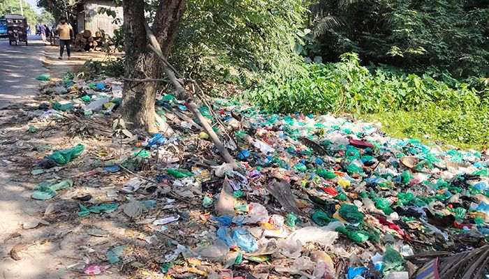 সড়কের পাশেই ময়লার ভাগাড়, ভোগান্তিতে পথচারীরা