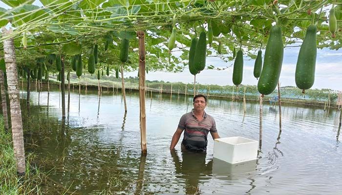 ঘেরের আইলে সবজি চাষে ভাগ্যবদলের স্বপ্নপূরণ