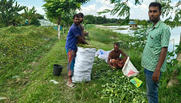 ঘেরের আইলে সবজি চাষে স্বাবলম্বী রামপালের কৃষকরা 