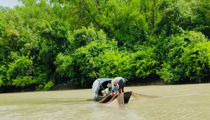 অনিন্দ্য সুন্দর চার সৈকত দেখার বিস্ময়কর সুযোগ