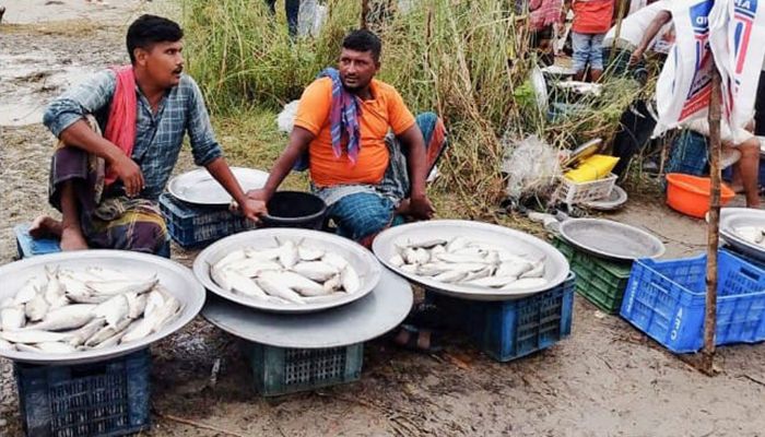 নিষেধাজ্ঞার মধ্যেও জমজমাট ইলিশের বাজার