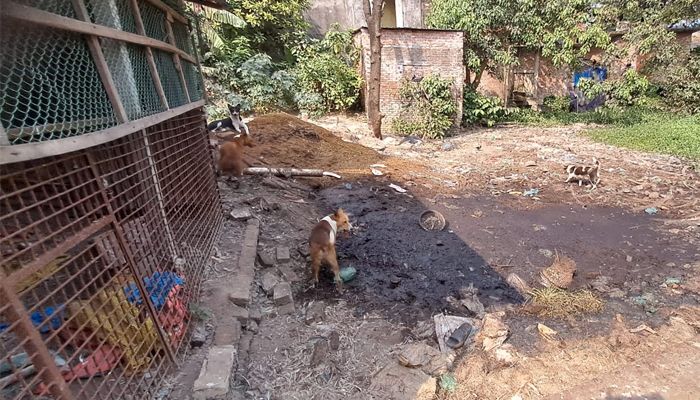 সিরাজদিখান বাজারে মাছ-মাংসের বর্জ্যের দুর্গন্ধে অতিষ্ঠ এলাকাবাসী