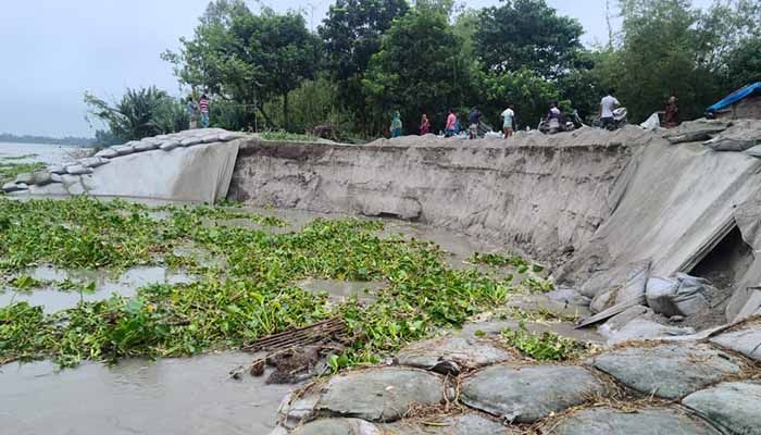 তিস্তাগর্ভে বিলীন বসতভিটা-ফসলি জমি