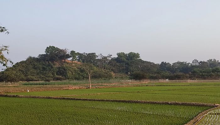 ছবি : সংগৃহীত
