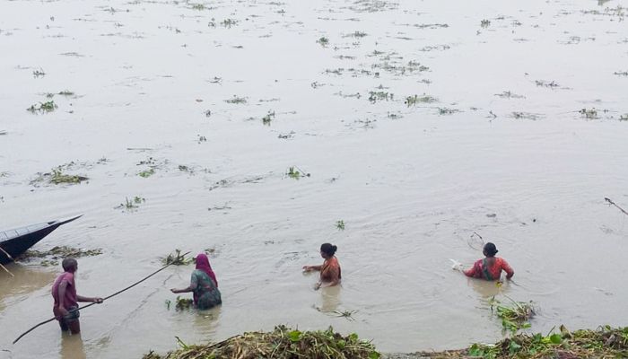 ২৪ ঘণ্টায় যমুনার পানি ৯৯ সেন্টিমিটার বৃদ্ধি : নদীর তীর ভাঙন আতঙ্ক