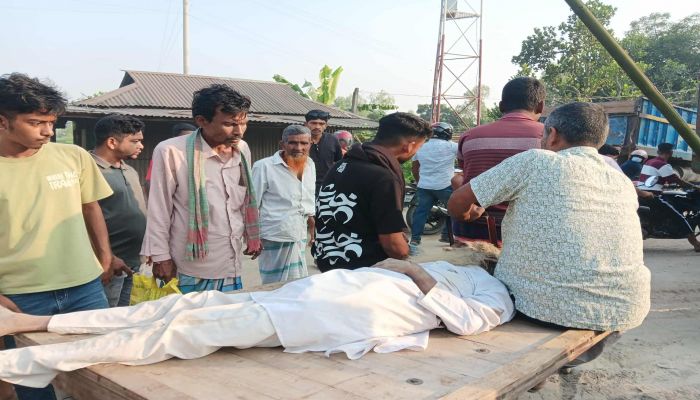 রাস্তা পারাপারের সময় বাস চাপায় সাবেক মেম্বার নিহত 