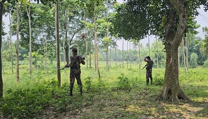 জাল নোট ঠেকাতে সীমান্তে বিজিবির নজরদারি 