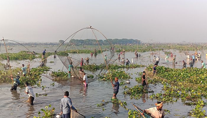 চলনবিলে আনন্দে মেতেছে শৌখিন মৎস্যশিকারিরা