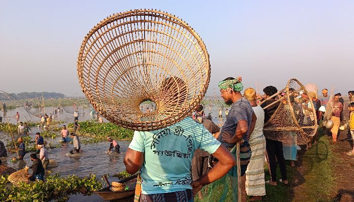 চলনবিলে আনন্দে মেতেছে সৌখিন মৎস্যশিকারিরা