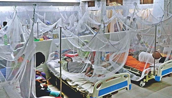 ডেঙ্গুতে আরও ৬ জনের মৃত্যু, হাসপাতালে ভর্তি ৭৮৮