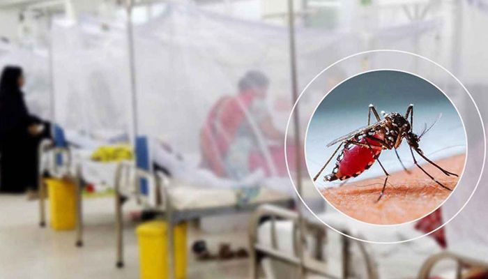 ডেঙ্গুতে আরও ৭ মৃত্যু, হাসপাতালে ভর্তি ৫৬৭